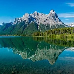 Meet your Posher, Noel antonio